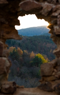 image11