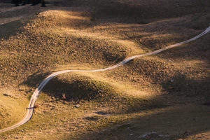 image12